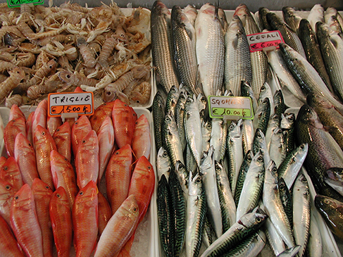 海鮮魚類配送