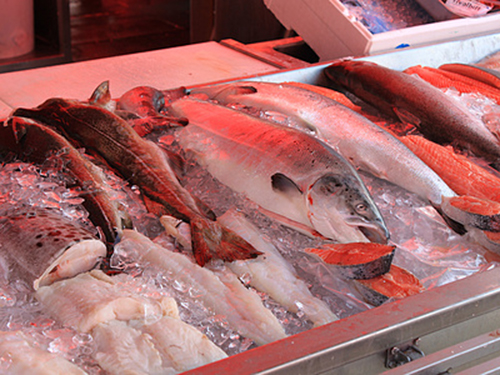 海鮮魚